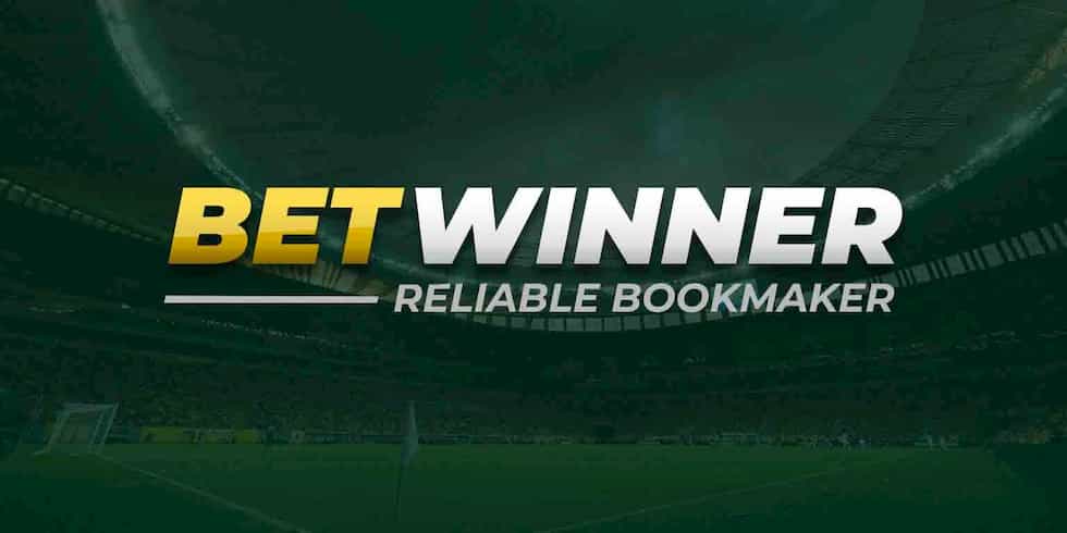 Understanding Casa de Apuestas A Comprehensive Guide to Betting Houses